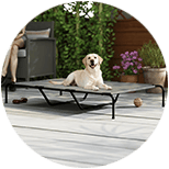 Camas para perros grandes