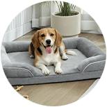 Camas para perros medianos