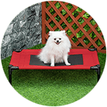 Camas para perros pequeños