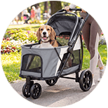 Cochecitos para perros