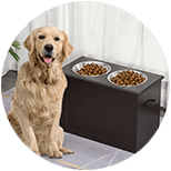 Comederos Elevados para Perros