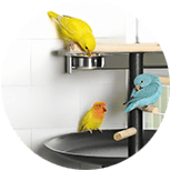 Comederos para pajaros