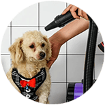 Cuidados y Aseo para Perros