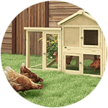 Gallinero para 4 gallinas
