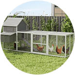 Gallinero para 6 gallinas
