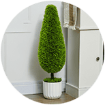 Plantas Artificiales