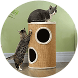 Rascadores para Gatos