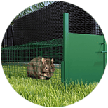 Trampas para ratones y ratas