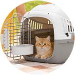 Transportines para Gatos