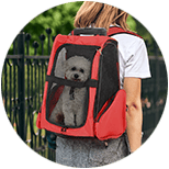 Transportines para Perros