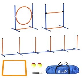 Set de entrenamiento de agilidad para perros de 4 piezas con piquetes, valla y anillo de salto naranja y azul