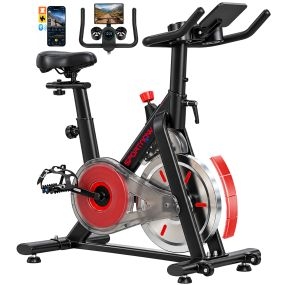 Bicicleta Estática en Casa con APP Bluetooth, Resistencia Magnética, Bici Estática Silenciosa con Pantalla LCD, Volante, Asiento y Manillar Ajustables, Ruedas, Soporte Teléfono, Portabotellas