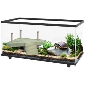 Acuario para tortugas 50L con plataforma, rampa, drenaje fácil y termómetro adhesivo, 60x30x32 cm transparente