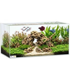 Acuario de cristal 51 L con alfombrilla protectora transparente para peces, camarones y tortugas