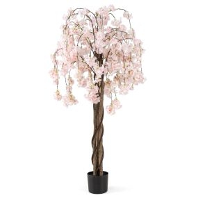 Juego de 1 Árbol Artificial de Sakura de 163cm con Flores de Color Degradado y Tronco de Madera Maceta de Cemento para Interior Blanco
