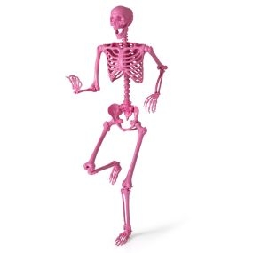 Decoración de esqueleto de Halloween tamaño real con 8 articulaciones móviles rosa 36 x 160 cm