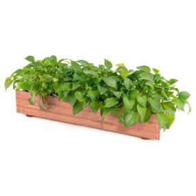 Arriate de Madera Jardín Cama Elevada para Plantas Suelo de Huerto Urbano Caja para Vegetales Frutas Hierbas Patio Balcón 91,5 x 18 x 15 cm