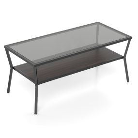 Mesa de Café 2 Niveles con Estante Rectangular Vidrio Templado Estructura Metálica para Sala Oficina Apartamento Gris Oscuro